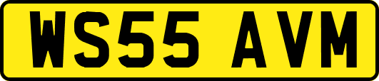 WS55AVM