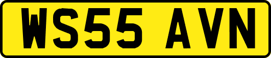 WS55AVN