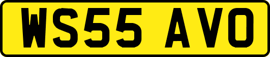 WS55AVO
