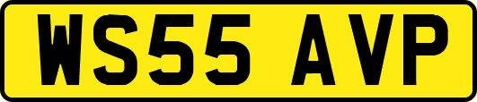 WS55AVP