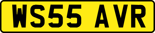 WS55AVR