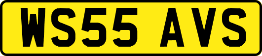 WS55AVS