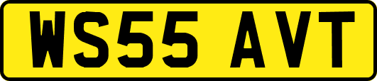 WS55AVT