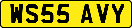 WS55AVY