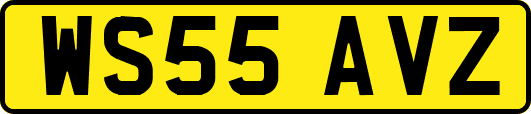 WS55AVZ