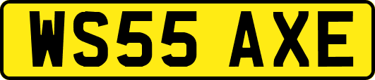 WS55AXE