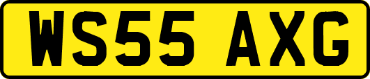 WS55AXG