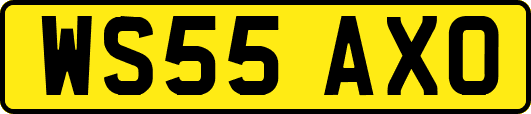 WS55AXO