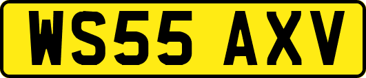 WS55AXV