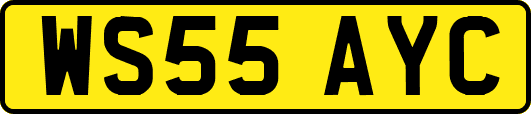 WS55AYC