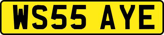 WS55AYE