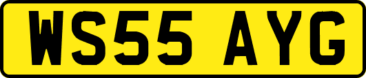 WS55AYG