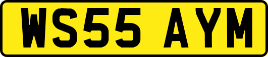 WS55AYM