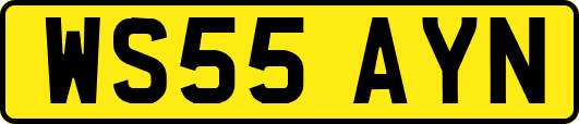 WS55AYN