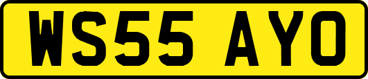 WS55AYO