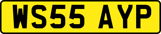 WS55AYP