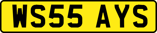 WS55AYS