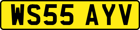 WS55AYV