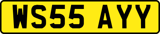 WS55AYY