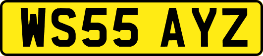 WS55AYZ