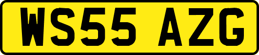 WS55AZG