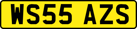 WS55AZS