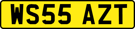 WS55AZT