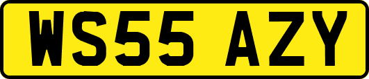 WS55AZY