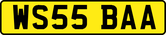 WS55BAA