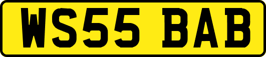WS55BAB