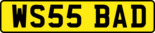 WS55BAD