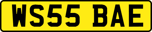 WS55BAE