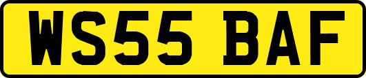 WS55BAF