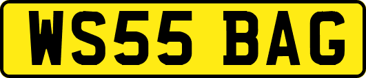 WS55BAG