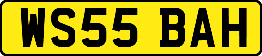 WS55BAH