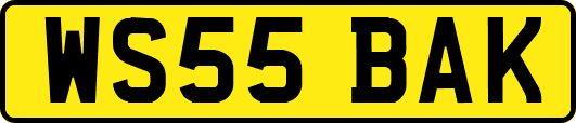 WS55BAK
