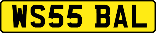 WS55BAL