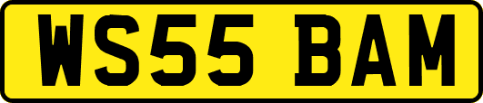 WS55BAM