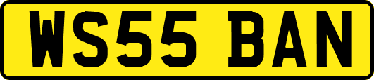 WS55BAN