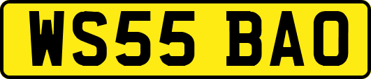 WS55BAO