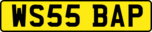 WS55BAP