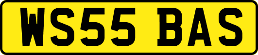 WS55BAS