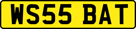 WS55BAT