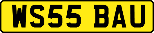 WS55BAU