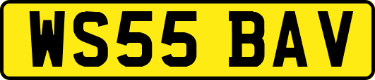 WS55BAV