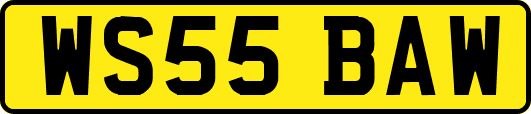 WS55BAW