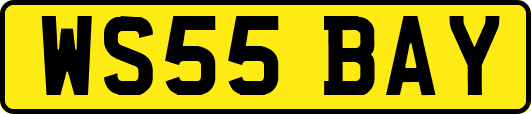 WS55BAY
