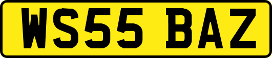 WS55BAZ