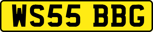 WS55BBG
