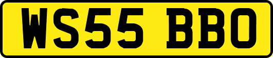 WS55BBO